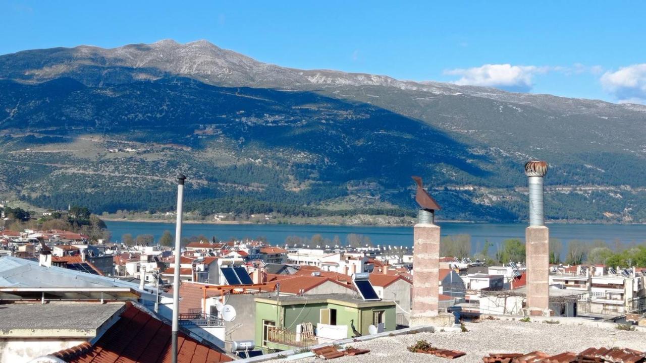 Διαμέρισμα Τριών Υπνοδωμάτιων. Ioannina Luaran gambar